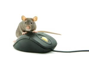 Cómo elegir el ratón más adecuado